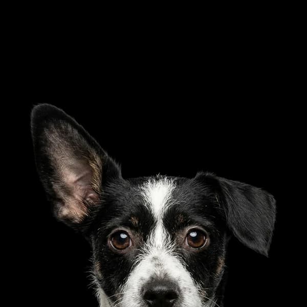 Minnie