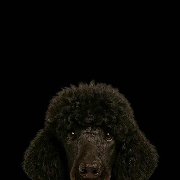 Tallulah