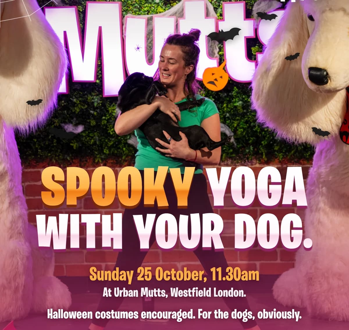 Spooky Yoga With Your Dog poster: Sunday 25 October, 11.30am at Urban Mutts, Westfield London