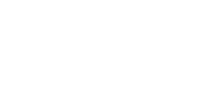 Palace Vets