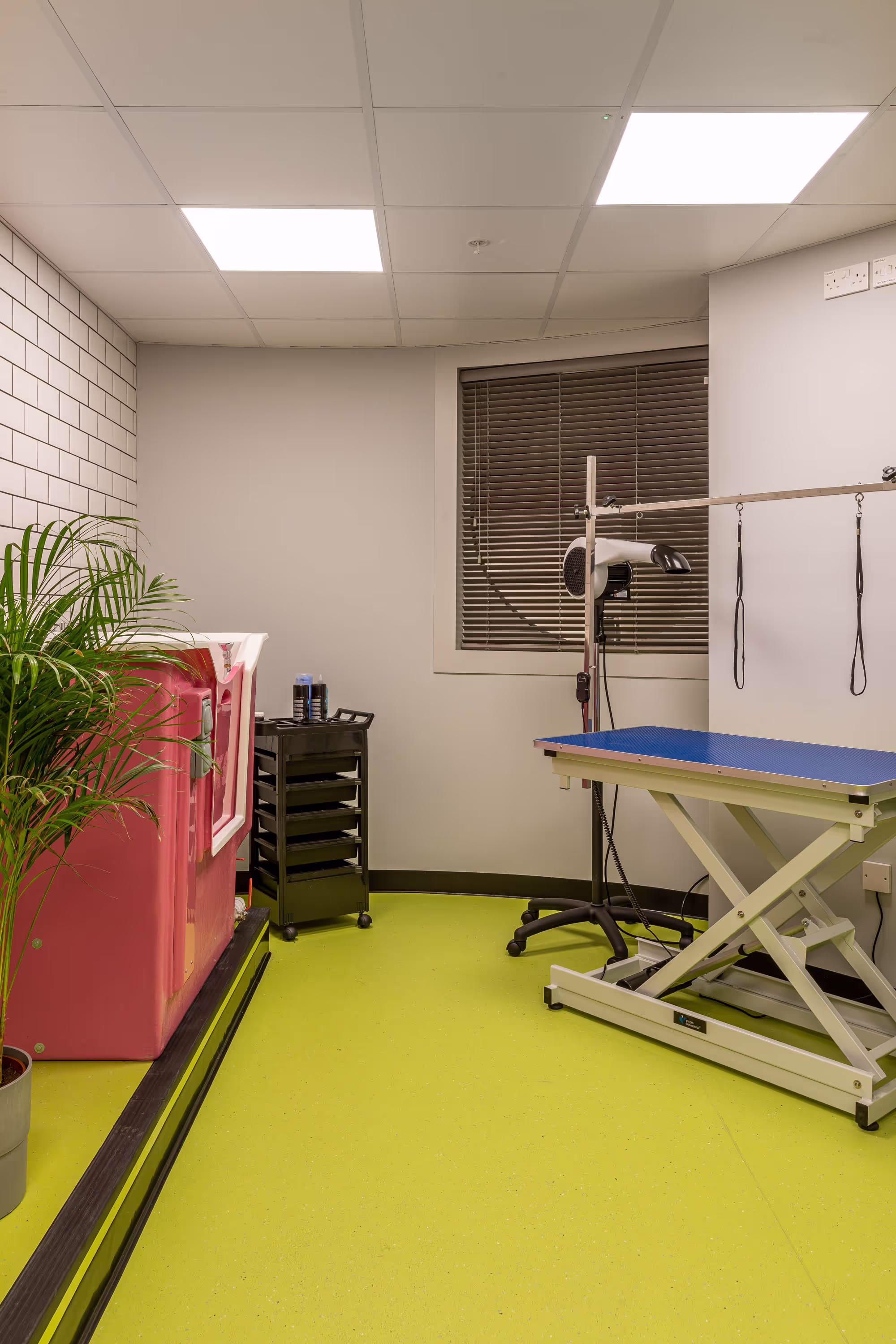 Urban Mutts grooming spa
