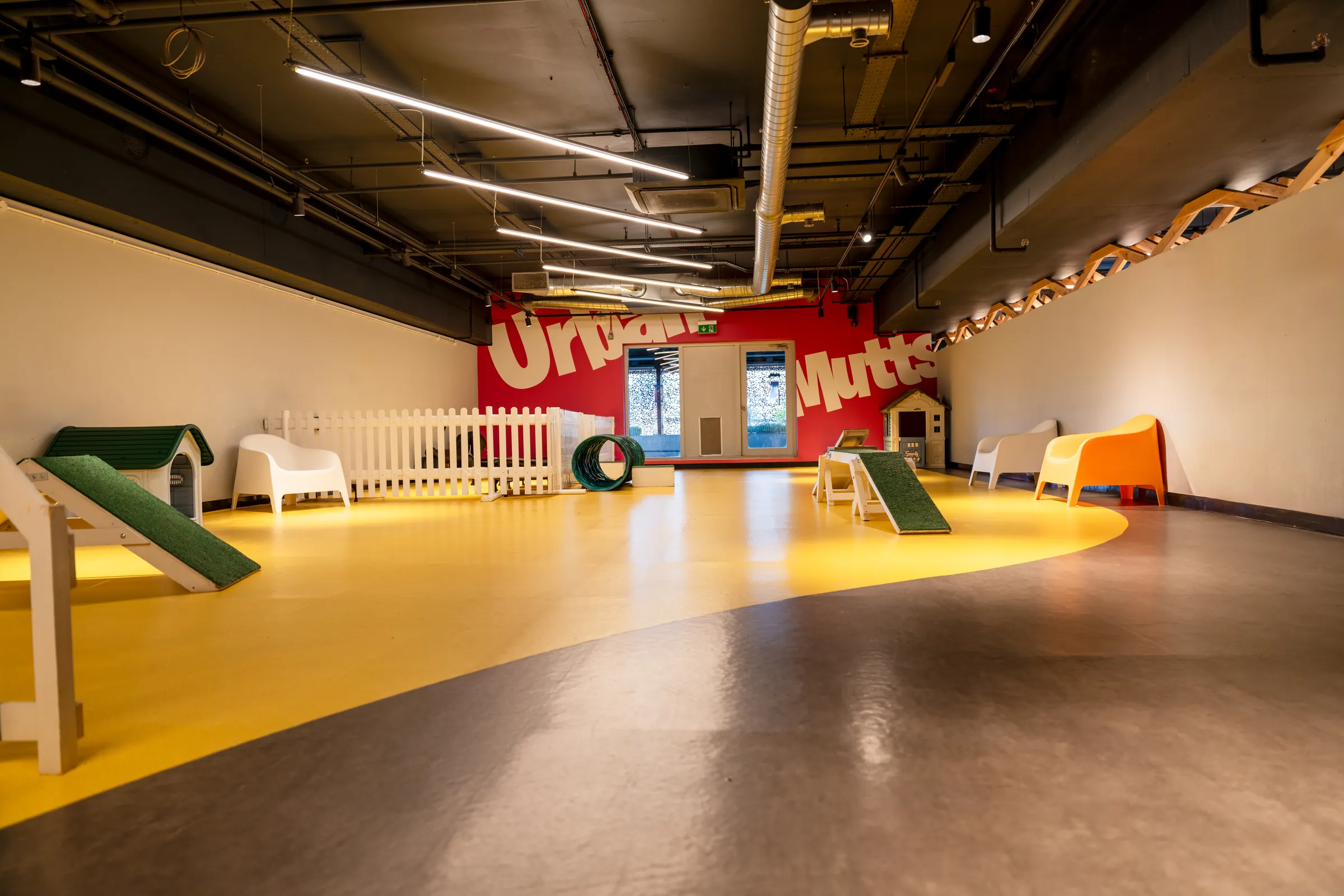 Inside the Urban Mutts club